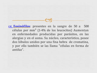 
 Eosinófilos: presentes en la sangre de 50 a 500
células por mm³ (1-4% de los leucocitos) Aumentan
en enfermedades producidas por parásitos, en las
alergias y en el asma. Su núcleo, característico, posee
dos lóbulos unidos por una fina hebra de cromatina,
y por ello también se las llama "células en forma de
antifaz".
 