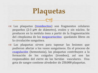  Las plaquetas (trombocitos) son fragmentos celulares
pequeños (2-3 μm de diámetro), ovales y sin núcleo. Se
producen en la médula ósea a partir de la fragmentación
del citoplasma de los megacariocitos quedando libres en
la circulación sanguínea.
 Las plaquetas sirven para taponar las lesiones que
pudieran afectar a los vasos sanguíneos. En el proceso de
coagulación (hemostasia), las plaquetas contribuyen a la
formación de los coágulos (trombos), así son las
responsables del cierre de las heridas vasculares. Una
gota de sangre contiene alrededor de 250.000 plaquetas.
Plaquetas

 