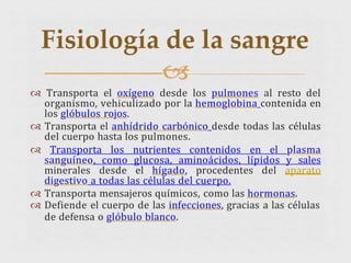  Transporta el oxígeno desde los pulmones al resto del
organismo, vehiculizado por la hemoglobina contenida en
los glóbulos rojos.
 Transporta el anhídrido carbónico desde todas las células
del cuerpo hasta los pulmones.
 Transporta los nutrientes contenidos en el plasma
sanguíneo, como glucosa, aminoácidos, lípidos y sales
minerales desde el hígado, procedentes del aparato
digestivo a todas las células del cuerpo.
 Transporta mensajeros químicos, como las hormonas.
 Defiende el cuerpo de las infecciones, gracias a las células
de defensa o glóbulo blanco.
Fisiología de la sangre

 