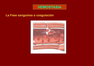 HEMOSTASIA

La Fase sanguínea o coagulación
 