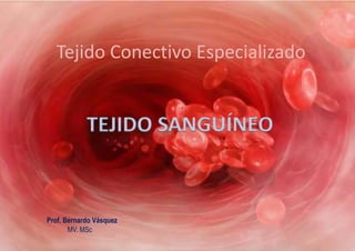 Tejido Conectivo Especializado


            TEJIDO SANGUÍNEO


Prof. Bernardo Vásquez
       MV. MSc
 