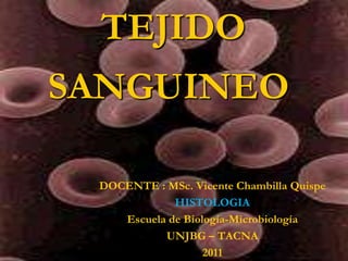 TEJIDO
SANGUINEO
DOCENTE : MSc. Vicente Chambilla Quispe
HISTOLOGIA
Escuela de Biología-Microbiología
UNJBG – TACNA
2011
 