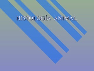 HISTOLOGÍA ANIMALHISTOLOGÍA ANIMAL
 