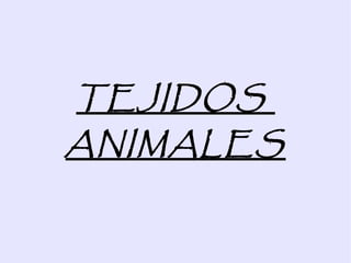 TEJIDOS  ANIMALES 