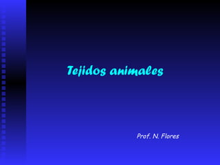 Tejidos animales Prof. N. Flores 