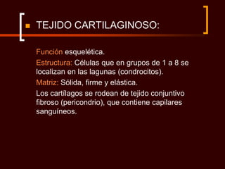    TEJIDO CARTILAGINOSO:

    Función esquelética.
    Estructura: Células que en grupos de 1 a 8 se
    localizan en las lagunas (condrocitos).
    Matriz: Sólida, firme y elástica.
    Los cartílagos se rodean de tejido conjuntivo
    fibroso (pericondrio), que contiene capilares
    sanguíneos.
 