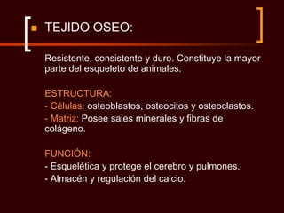    TEJIDO OSEO:

    Resistente, consistente y duro. Constituye la mayor
    parte del esqueleto de animales.

    ESTRUCTURA:
    - Células: osteoblastos, osteocitos y osteoclastos.
    - Matriz: Posee sales minerales y fibras de
    colágeno.

    FUNCIÓN:
    - Esquelética y protege el cerebro y pulmones.
    - Almacén y regulación del calcio.
 