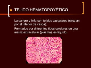    TEJIDO HEMATOPOYÉTICO

    La sangre y linfa son tejidos vasculares (circulan
    por el interior de vasos).
    Formados por diferentes tipos celulares en una
    matriz extracelular (plasma); es líquido.
 
