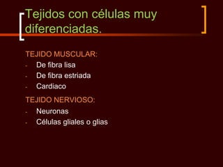 Tejidos con células muy
diferenciadas.
TEJIDO MUSCULAR:
- De fibra lisa
- De fibra estriada
- Cardiaco
TEJIDO NERVIOSO:
-   Neuronas
-   Células gliales o glias
 