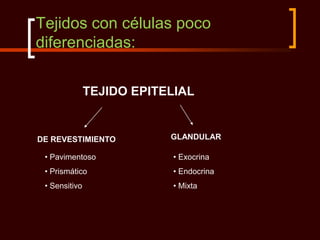 Tejidos con células poco
diferenciadas:

               TEJIDO EPITELIAL


DE REVESTIMIENTO           GLANDULAR

 • Pavimentoso             • Exocrina
 • Prismático              • Endocrina
 • Sensitivo               • Mixta
 