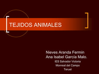 TEJIDOS ANIMALES



           Nieves Aranda Fermín
           Ana Isabel García Malo.
               IES Salvador Victoria
                Monreal del Campo
                      Teruel
 