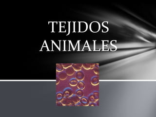TEJIDOS
ANIMALES
 