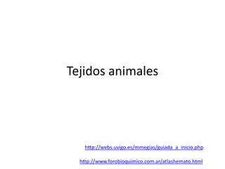 Tejidos animales




    http://webs.uvigo.es/mmegias/guiada_a_inicio.php

  http://www.forobioquimico.com.ar/atlashemato.html
 