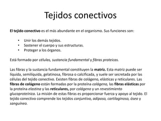 Tejidos conectivos
El tejido conectivo es el más abundante en el organismo. Sus funciones son:

     •   Unir los demás tejidos.
     •   Sostener el cuerpo y sus estructuras.
     •   Proteger a los órganos.

Está formado por células, sustancia fundamental y fibras proteicas.

Las fibras y la sustancia fundamental constituyen la matriz. Esta matriz puede ser
líquida, semilíquida, gelatinosa, fibrosa o calcificada, y suele ser secretada por las
células del tejido conectivo. Existen fibras de colágeno, elásticas y reticulares. Las
fibras de colágeno están formadas por la proteína colágeno, las fibras elásticas por
la proteína elastina y las reticulares, por colágeno y un revestimiento
glucoproteínico. La misión de estas fibras es proporcionar fuerza y apoyo al tejido. El
tejido conectivo comprende los tejidos conjuntivo, adiposo, cartilaginoso, óseo y
sanguíneo.
 