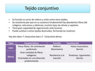 Tejido conjuntivo

•   Su función es servir de relleno y unión entre otros tejidos.
•   Se caracteriza por que en su sustancia fundamental hay abundantes fibras (de
    colágeno, reticulares y elásticas), muchos tipos de células y capilares.
•   Tiene gran capacidad de regeneración ante lesiones
•   Puede sustituir a otros tejidos destruidos, formando las cicatrices

Hay dos tipos: T. Conjuntivo laxo y T. Conjuntivo denso.

Tipos          Características               Función          Localización
         Pocas fibras. Sin orientación       Relleno.            Haces musculares.
Laxo
                  preferente                Movimiento                  Dermis
           Gran cantidad de fibras
                  colágenas                Resistencia a la    Tendones. Ligamentos.
Denso
         Orientadas en una dirección          tracción               Dermis
                predominante
 