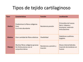 Tipos de tejido cartilaginoso
Tipos       Características                     Función                   Localización


                                                                          Primordios de huesos
            Predominan la fibras colágenas
                                                                          Nariz, tráquea y
 Hialino    finas                               Resistencia presión
                                                                          bronquios, externón
            Es el más abundante
                                                                          Articulaciones


                                                                          Pabellones auditivos.
 Elástico   Gran cantidad de fibras elásticas   Flexibilidad
                                                                          Epiglotis


            Muchas fibras colágenas gruesas                               Discos intervertebrales.
                                                Resistencia a presión y
 Fibroso    Sin límite preciso con el                                     Inserción de tendones en
                                                tracción
            conjuntivo denso                                              huesos
 
