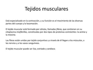 Tejidos musculares
Está especializado en la contracción, y su función es el movimiento de las diversas
partes del cuerpo y la locomoción.

El tejido muscular está formado por células, llamadas fibras, que contienen en su
citoplasma miofibrillas, constituidas por dos tipos de proteínas contráctiles: la actina y
la miosina.

Las fibras están unidas por tejido conjuntivo y a través de él llegan a los músculos, a
los nervios y a los vasos sanguíneos.

El tejido muscular puede ser liso, estriado y cardiaco.
 