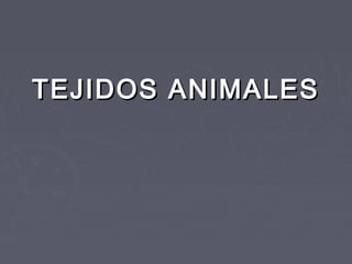 TEJIDOS ANIMALES
 