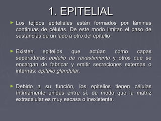 1. EPITELIAL
►   Los tejidos epiteliales están formados por láminas
    continuas de células. De este modo limitan el paso de
    sustancias de un lado a otro del epitelio

►   Existen     epitelios    que  actúan    como    capas
    separadoras: epitelio de revestimiento y otros que se
    encargan de fabricar y emitir secreciones externas o
    internas: epitelio glandular.

►   Debido a su función, los epitelios tienen células
    íntimamente unidas entre sí, de modo que la matriz
    extracelular es muy escasa o inexistente.
 