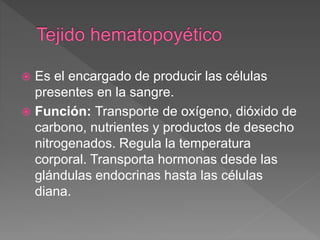  Es el encargado de producir las células
presentes en la sangre.
 Función: Transporte de oxígeno, dióxido de
carbono, nutrientes y productos de desecho
nitrogenados. Regula la temperatura
corporal. Transporta hormonas desde las
glándulas endocrinas hasta las células
diana.
 
