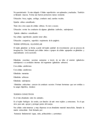 No queratinizado: Es más delgado. Células superficiales son aplanadas y nucleadas. También
es llamado mucosa. Forma una barrera protectora menos resistente.
Ubicación: boca, vagina, esófago, conducto anal, cuerdas vocales.
Epitelio cúbico estratificado:
Tiene dos a tres capas de células cúbicas. Es raro y escaso.
Ubicación: reviste los conductos de algunas glándulas (salivales, sudoríparas).
Epitelio cilindrico estratificado:
Sus células superficiales pueden tener cilios.
Ubicación: conjuntiva, superficie respiratoria de la epiglotis.
TEJIDO EPITELIAL GLANDULAR
El tejido glandular se forma a partir del tejido epitelial de revestimiento por un proceso de
invaginación. Está formado por células únicas o grupos de células agrupadas en glándulas y
especializadas en la secreción.
Glándulas exocrinas: secretan sustancias a través de un tubo al exterior (glándulas
sudoríparas) o a cavidades internas del organismo (glándulas salivares)
Con células calciformes
Con células calciformes
Glándulas mamarias
Glándulas sebáceas
Glándulas sudoríparas
Glándulas endocrinas: carecen de conducto secretor. Forman hormonas que son vertidas a
la sangre (hipófisis, tiroides)
TEJIDOS CONECTIVOS
Es el más abundante entre los animales.
Es el tejido biológico de sostén, con función de unir otros tejidos y estructuras. Es el que
sirve para unir, apoyar y proteger partes del cuerpo.
Sus células están inmersas y muy dispersas en un abundante material intercelular, llamado la
matriz extracelular. Está formada por:
Sustancia fundamental (agua, sales, polisacáridos y proteínas)
 