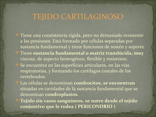 TEJIDO CARTILAGINOSO
Tiene una consistencia rígida, pero no demasiado resistente
a las presiones. Está formado por células separadas por
sustancia fundamental y tiene funciones de sostén y soporte
Tiene sustancia fundamental o matriz translúcida, muy
viscosa, de aspecto homogéneo, flexible y resistente.
Se encuentra en las superficies articulares, en las vías
respiratorias, y formando los cartílagos costales de los
vertebrados.
Las células se denominan condrocitos, se encuentran
situadas en cavidades de la sustancia fundamental que se
denominan condroplastos.
Tejido sin vasos sanguíneos, se nutre desde el tejido
conjuntivo que le rodea ( PERICONDRIO )
 
