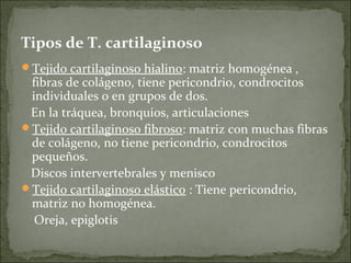 Tipos de T. cartilaginoso
Tejido cartilaginoso hialino: matriz homogénea ,
fibras de colágeno, tiene pericondrio, condrocitos
individuales o en grupos de dos.
En la tráquea, bronquios, articulaciones
Tejido cartilaginoso fibroso: matriz con muchas fibras
de colágeno, no tiene pericondrio, condrocitos
pequeños.
Discos intervertebrales y menisco
Tejido cartilaginoso elástico : Tiene pericondrio,
matriz no homogénea.
Oreja, epiglotis
 