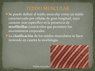 TEJIDO MUSCULAR
Se puede definir al tejido muscular como un tejido
caracterizado por células de gran longitud, cuyo
carácter más específico es la presencia de
miofibrillas contráctiles que permiten los
movimientos corporales.
La clasificación de los tejidos musculares se hace
teniendo en cuenta la morfología.
Tejido muscular
 