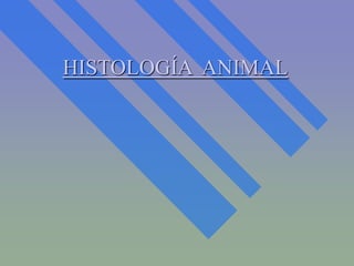 HISTOLOGÍA ANIMAL
 