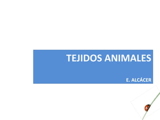 TEJIDOS ANIMALES
E. ALCÁCER
 
