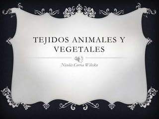 TEJIDOS ANIMALES Y
VEGETALES
Nicolás Correa Wilcekn
 