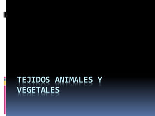TEJIDOS ANIMALES Y 
VEGETALES 
 