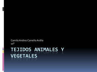 TEJIDOS ANIMALES Y
VEGETALES
CamiloAndres CarreñoArdila
10°
 