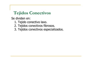 Tejidos Conectivos
Se dividen en:
1. Tejido conectivo laxo.
2. Tejidos conectivos fibrosos.
3. Tejidos conectivos especializados.
 