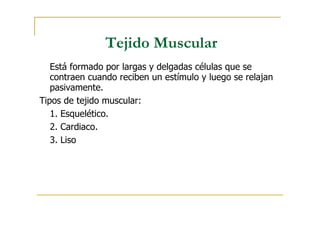 Tejido Muscular
Está formado por largas y delgadas células que se
contraen cuando reciben un estímulo y luego se relajan
pasivamente.
Tipos de tejido muscular:
1. Esquelético.
2. Cardiaco.
3. Liso
 