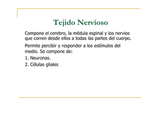 Tejido Nervioso
Compone el cerebro, la médula espinal y los nervios
que corren desde ellos a todas las partes del cuerpo.
Permite percibir y responder a los estímulos del
medio. Se compone de:
1. Neuronas.
2. Células gliales
 