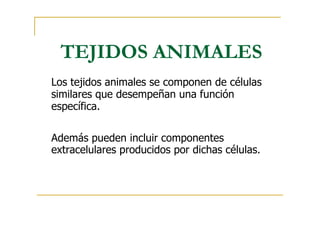 TEJIDOS ANIMALES
Los tejidos animales se componen de células
similares que desempeñan una función
específica.
Además pueden incluir componentes
extracelulares producidos por dichas células.
 