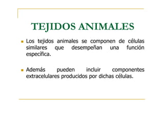TEJIDOS ANIMALES
Los tejidos animales se componen de células
similares que desempeñan una función
específica.
Además pueden incluir componentes
extracelulares producidos por dichas células.
 