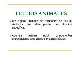 TEJIDOS ANIMALES y VEGETALES [Modo de compatibilidad].pdf.PDF