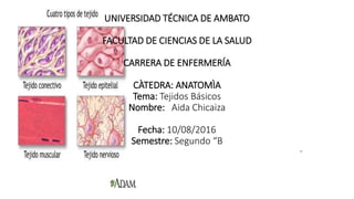 UNIVERSIDAD TÉCNICA DE AMBATO
FACULTAD DE CIENCIAS DE LA SALUD
CARRERA DE ENFERMERÍA
CÀTEDRA: ANATOMÌA
Tema: Tejidos Básicos
Nombre: Aida Chicaiza
Fecha: 10/08/2016
Semestre: Segundo “B
zzz
