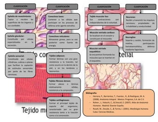 CLASIFICACIÓN
Epitelio de revestimiento:
Tapiza y recubre las
superficies de los órganos y
sus cavidades.
Epitelio glandular:
Constituido por células
especializadas en la
secreción.
Epitelio sensorial:
Constituido por células
cilíndricas, cubicas o planas
que facilitan la captación
de estímulos sensoriales
por parte de las fibras
nerviosas.
Conectivos laxos:
Contener a las células que
participan en los procesos de
defensa ante agente extraños.
Conectivos reticulares:
Almacenar grasas, para su uso
posterior como fuente de
energía.
Tejidos adiposos:
Formar láminas con una gran
resistencia a la tracción, tal
como ocurre en la dermis de la
piel, y en los tendones y
ligamentos.
Tejidos fibrosos densos:
Formar placas o láminas
relativamente sólidas,
resistencia a la compresión.
Tejidos cartilaginosos:
Formar el principal tejido de
soporte del organismo,
caracterizado por su gran
resistencia tanto a la tracción
como a la compresión.
Tejido muscular liso:
Sus contracciones son
independientes de la voluntad.
Muscular estriado cardiaco:
Se localizan en el corazón y
constituyen el miocardio
Muscular estriado
esquelético:
Se encuentran formando los
músculos que se insertan en
el esqueleto.
Neuronas:
Recibir y transmitir los impulsos
nerviosos; propiedades de
irritabilidad y conductividad.
Neuroglias:
Soporte y sostén, formación de
mielina, participación
hematoencefalica, defensa
mediante fagocitosis.
CLASIFICACIÓN CLASIFICACIÓN CLASIFICACIÓN
Bibliografía:
 Herrera, P., Barrientos, T., Fuentes , R., & Rodriguez, M. A.
(2008). Anatomia Integral . Mexico: Progreso, S.A. de C.V.
 Rohen , J., Yokochi, C., & Drecoll, E. (2007). Atlas de Anatomia
Humana . Madrid: Elsevier España.
 Rosell, W., Dovale, C., & Torres, I. (2001). Morfologia Humana.
Cuba: Ciencias Medicas.
 