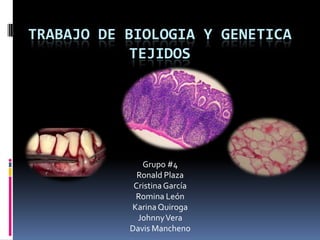 TRABAJO DE BIOLOGIA Y GENETICA
TEJIDOS

Grupo #4
Ronald Plaza
Cristina García
Romina León
Karina Quiroga
Johnny Vera
Davis Mancheno

 