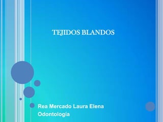 TEJIDOS BLANDOS




Rea Mercado Laura Elena
Odontología
 