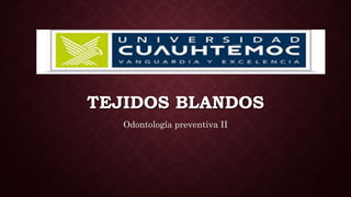 TEJIDOS BLANDOS
Odontología preventiva II
 