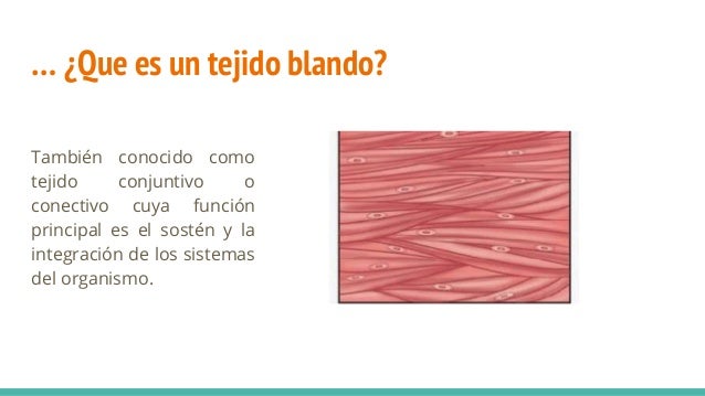 Tejidos blandos y hemorragias