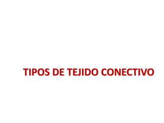 TIPOS DE TEJIDO CONECTIVO 
 