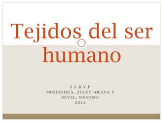 Tejidos del ser
   humano
           S.E.B.V.P
   PROFESORA. ZULEY ARAYA S
        NIVEL. NOVENO
             2012
 