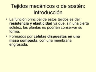 Tejidos mecánicos o de sostén:
Introducción
• La función principal de estos tejidos es dar
resistencia y elasticidad ya que, sin una cierta
solidez, las plantas no podrían conservar su
forma.
• Formados por células dispuestas en una
masa compacta, con una membrana
engrosada.

 