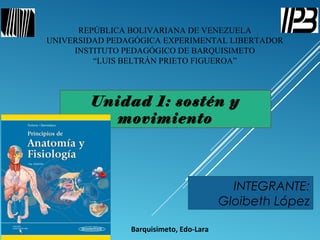 REPÚBLICA BOLIVARIANA DE VENEZUELA
UNIVERSIDAD PEDAGÓGICA EXPERIMENTAL LIBERTADOR
INSTITUTO PEDAGÓGICO DE BARQUISIMETO
“LUIS BELTRÁN PRIETO FIGUEROA”
Barquisimeto, Edo-Lara
Unidad 1: sostén y
movimiento
INTEGRANTE:
Gloibeth López
 