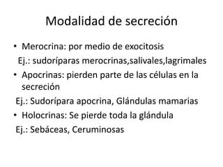 Tejidos epiteliales | PPTX